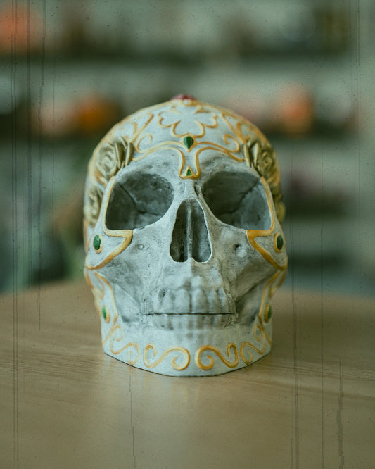 Skull with a Secret Deck Box